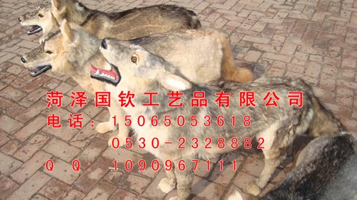 供应仿真狼真狼皮制作，形态逼真仿真狼模型
